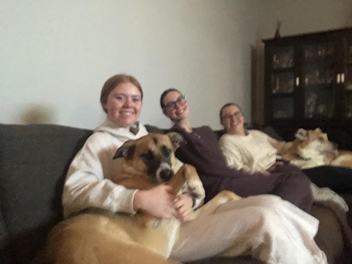 SUPER BOWL 🏟️🏈